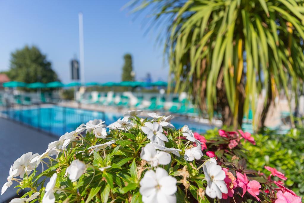 Aparthotel Residenza Orchidee Lazise Zewnętrze zdjęcie
