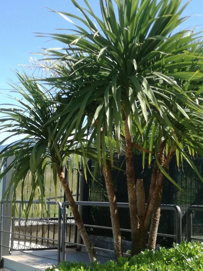 Aparthotel Residenza Orchidee Lazise Zewnętrze zdjęcie
